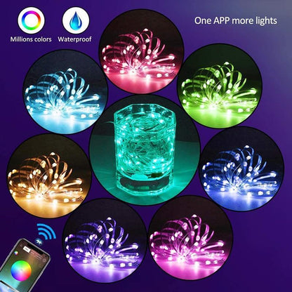 🎄【PLAYFUL LIGHTS】 LED Bluetooth Christmas Lights
